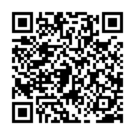 QR code for LEP9095