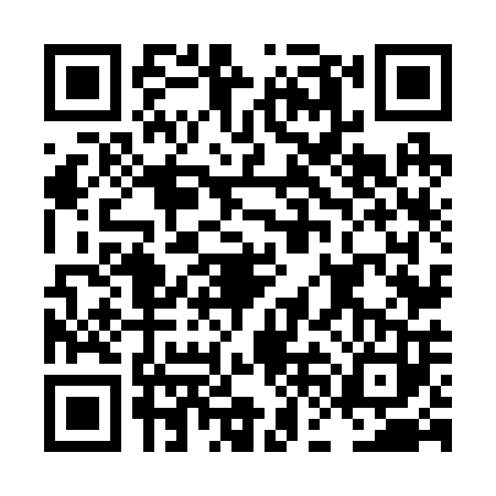 QR code for LFN2038