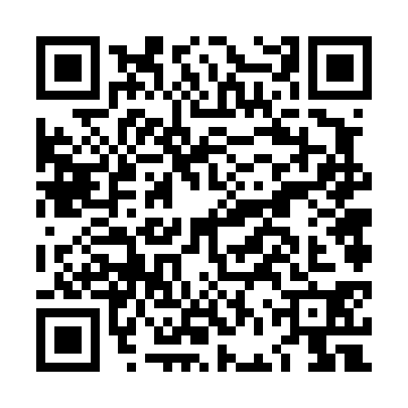 QR code for LFV4300