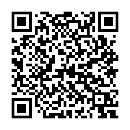QR code for LG91WP