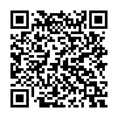 QR code for LG95SL