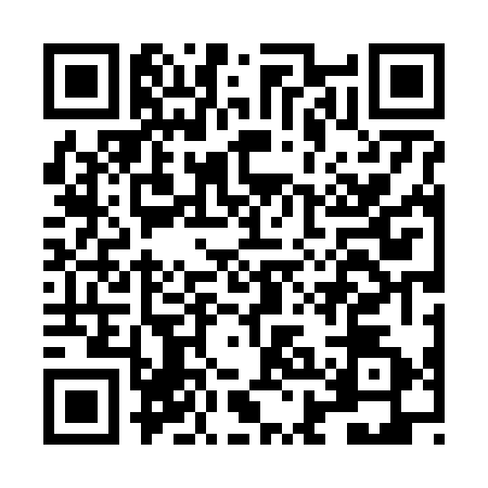 QR code for LHD6729