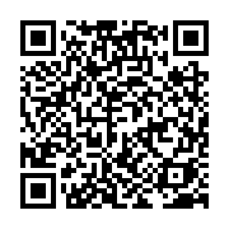 QR code for LI13WI