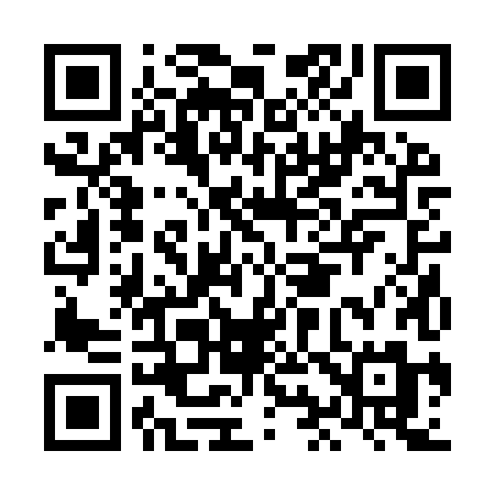 QR code for LI29XM