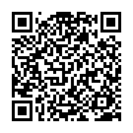 QR code for LI61RO