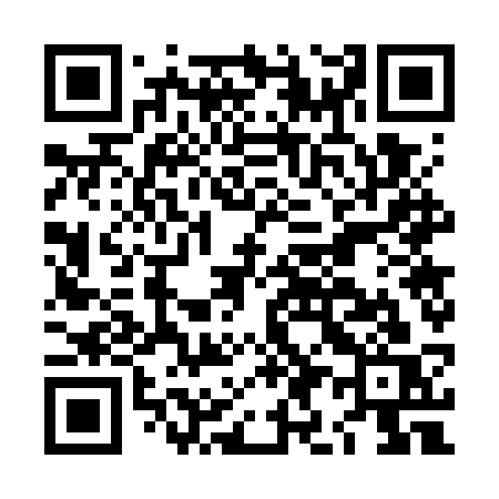 QR code for LI77SS