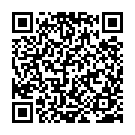 QR code for LI95IR