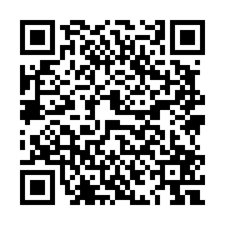 QR code for LII4079