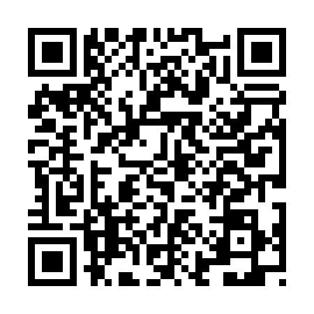 QR code for LIL0384