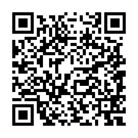 QR code for LIT5994