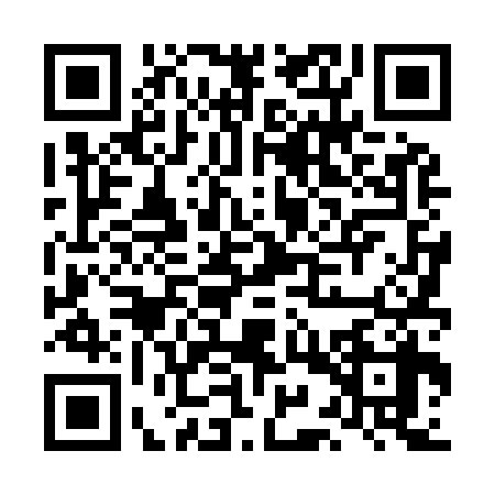 QR code for LIT9389