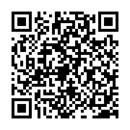QR code for LIZ3119
