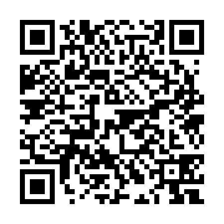 QR code for LLC2381