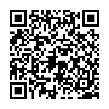 QR code for LLI2933