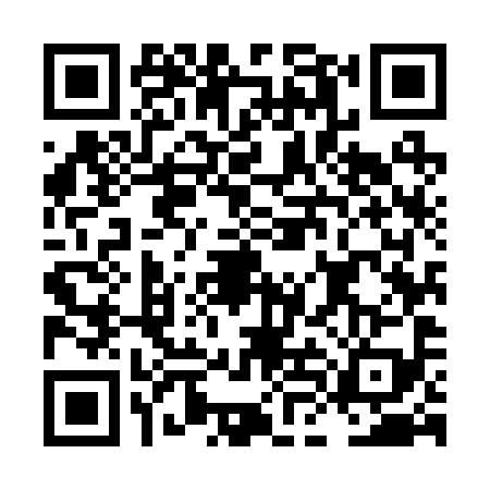 QR code for LLM2994