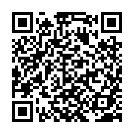QR code for LN93HI