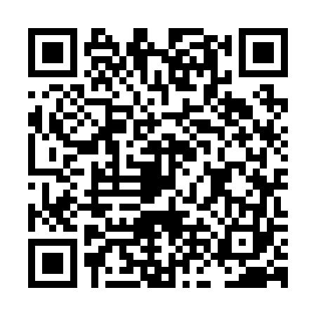 QR code for LNK2636