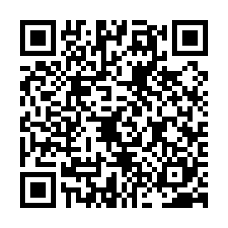 QR code for LNS1253