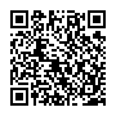 QR code for LNS6560