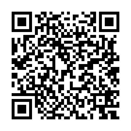 QR code for LOR8295