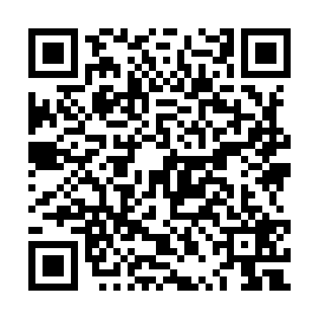 QR code for LPI9292