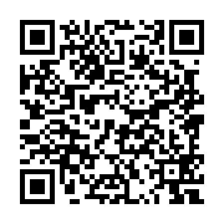 QR code for LPX0994