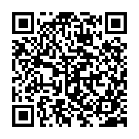 QR code for LR51IN