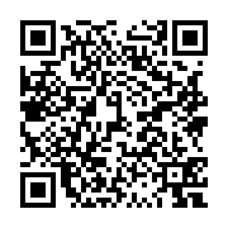 QR code for LSI1310