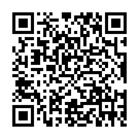 QR code for LSI3125