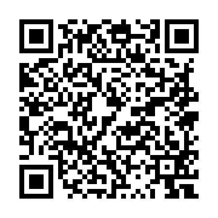 QR code for LSQ9938