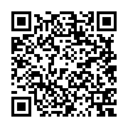 QR code for LSR8313