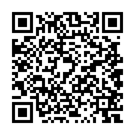 QR code for LSV0028
