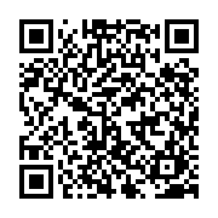 QR code for LT91BL