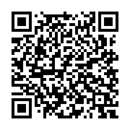 QR code for LU29LP