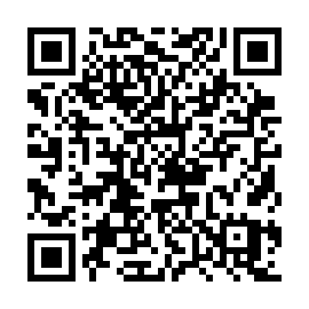 QR code for LV13FU