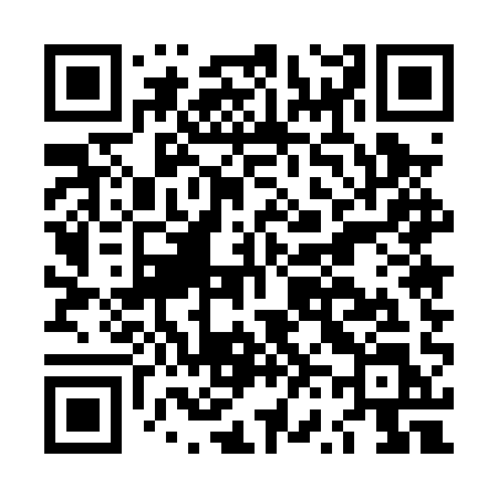 QR code for LV50QL