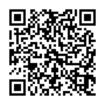 QR code for LWN9638