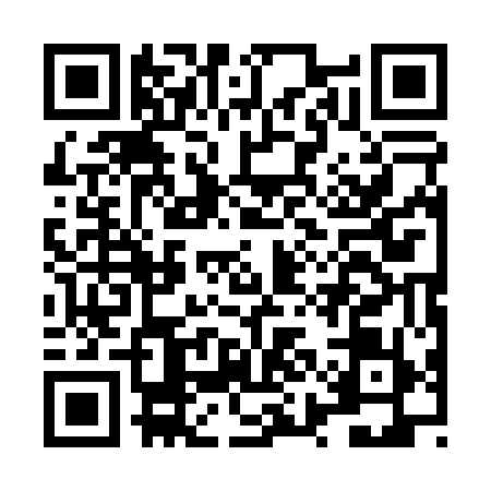 QR code for LYA0595