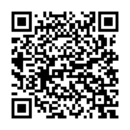 QR code for LZ29OM