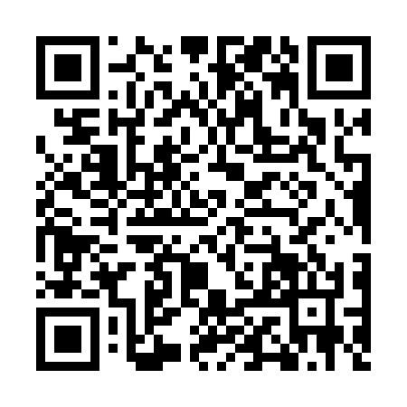 QR code for MAE0343