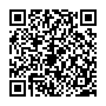 QR code for MAE2566