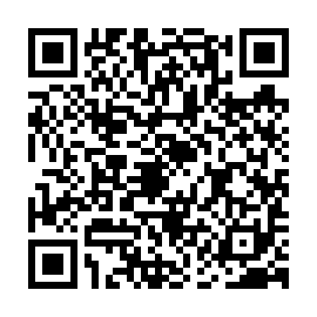 QR code for MAI6919