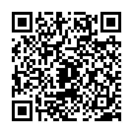 QR code for MAS2335