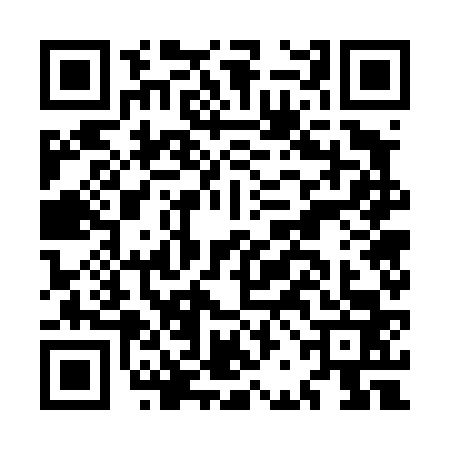 QR code for MBG4633