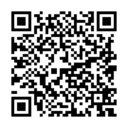 QR code for MCH9291