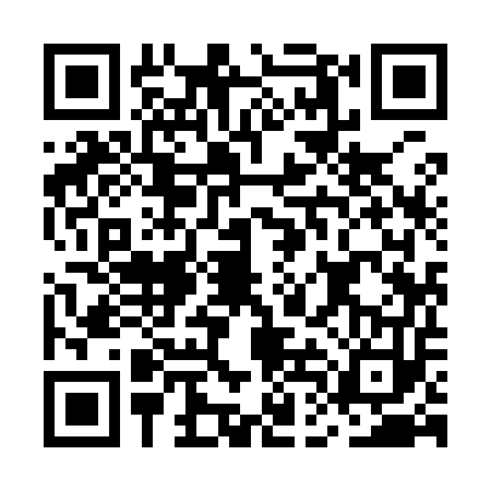 QR code for MDI9533