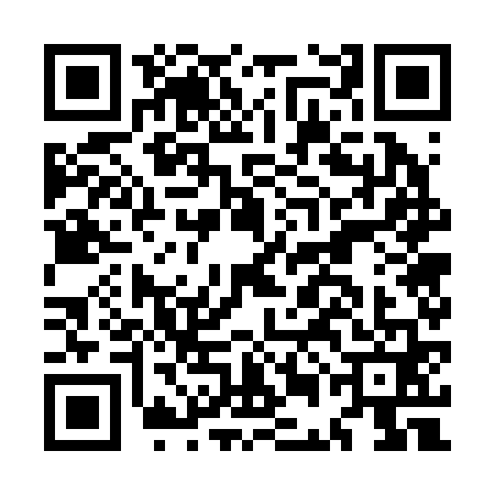 QR code for MEG2617