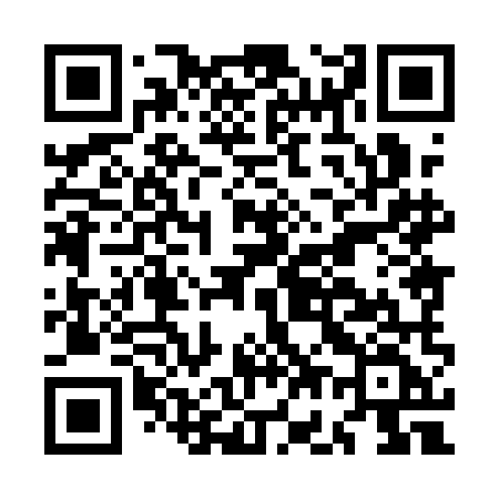 QR code for MG81MF