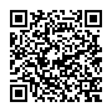 QR code for MIS0331
