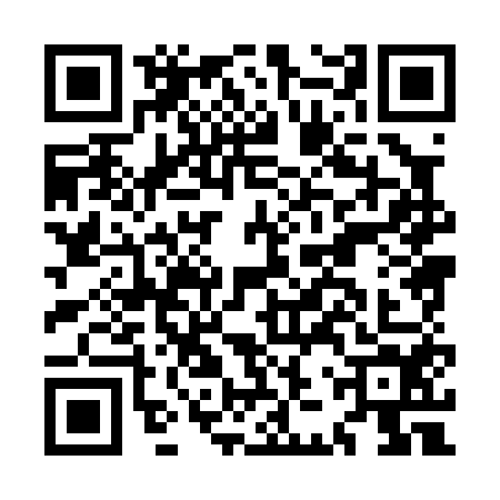 QR code for MJX0542